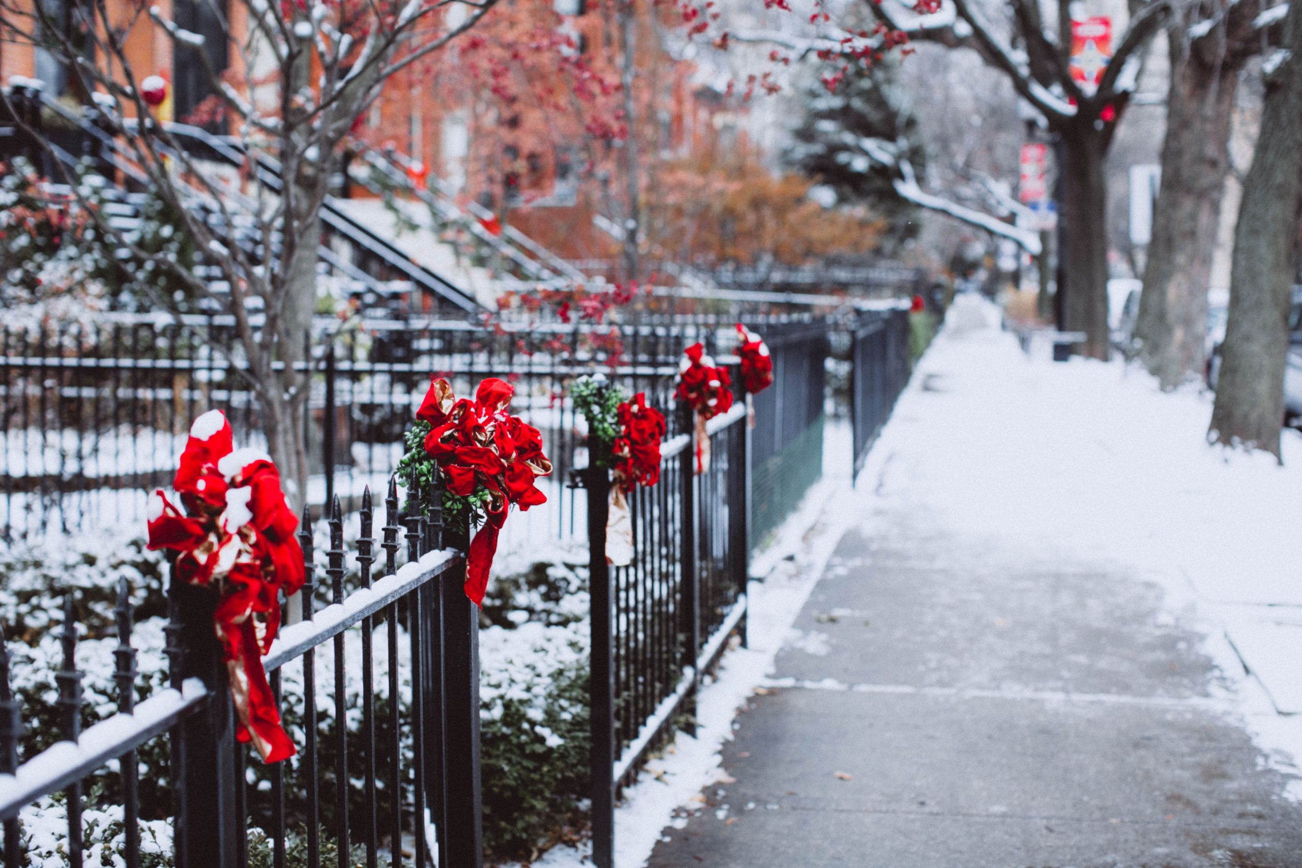 snow covered fences with red Christmas ribbons