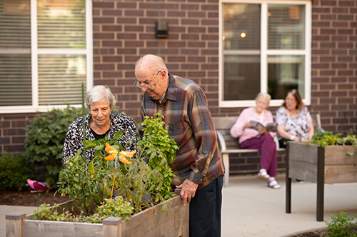 our residences enjoying our outside gardening facilities